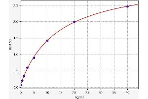 Typical standard curve
