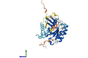 Protein Structure (PS) image for RAB40C, Member RAS Oncogene Family (RAB40C) (AA 1-281) protein (His tag) (ABIN7551270)