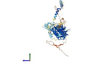 Protein Structure (PS) image for RIO Kinase 1 (RIOK1) (AA 1-567) protein (His tag) (ABIN7560233)