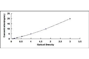 Typical standard curve (SQLE ELISA 试剂盒)