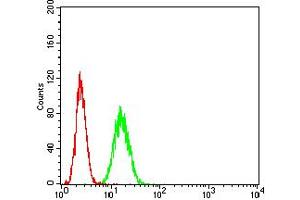 Flow cytometric analysis of Hela cells using ADAR mouse mAb (green) and negative control (red).