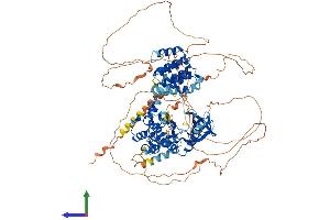 AlphaFold protein structure predicition of Mouse Recombinant Ttk Protein, UniprotID P35761