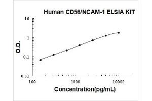 Human CD56/NCAM-1 PicoKine ELISA Kit standard curve