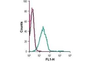Flow Cytometry (FACS) image for anti-Solute Carrier Family 23 (Nucleobase Transporters), Member 2 (SLC23A2) (AA 191-204), (Extracellular) antibody (ABIN7043705)