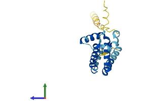 Protein Structure (PS) image for Rab Acceptor 1 (Prenylated) (RABAC1) (AA 1-185) protein (His tag) (ABIN7550894)
