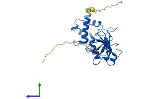 Protein Structure (PS) image for tRNA Phosphotransferase 1 (TRPT1) (AA 1-253) protein (His tag) (ABIN7544868)