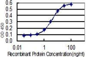 ELISA image for anti-Mitogen-Activated Protein Kinase 6 (MAPK6) (AA 612-721) antibody (ABIN519220)