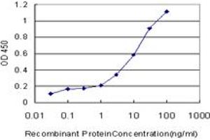 Detection limit for recombinant GST tagged ERBB3 is approximately 0. (ERBB3 抗体  (AA 21-331))