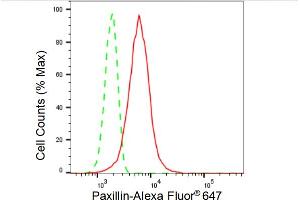 Flow cytometric analysis of Paxillin expression in HT- cells using Paxillin antibody (ABIN7799744), 1:2,000). (Recombinant Paxillin 抗体)