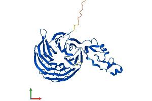 Protein Structure (PS) image for Zinc Finger, FYVE Domain Containing 22 (ZFYVE22) (AA 1-400) protein (His tag) (ABIN7556017)