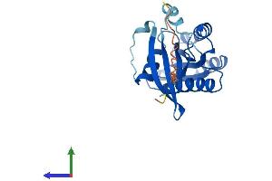 Protein Structure (PS) image for RAB39B, Member RAS Oncogene Family (RAB39B) (AA 1-213) protein (His tag) (ABIN7551234)