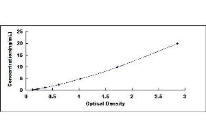 Typical standard curve (Anoctamin 6 ELISA 试剂盒)