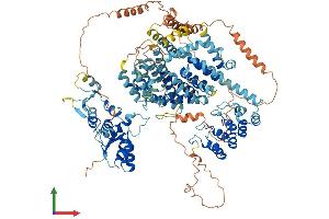 AlphaFold protein structure predicition of Human Recombinant SLF1 Protein, UniprotID Q9BQI6