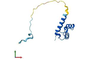 AlphaFold protein structure predicition of Human Recombinant POLD4 Protein, UniprotID Q9HCU8