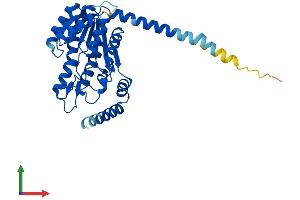 Protein Structure (PS) image for Dehydrogenase/reductase (SDR Family) Member 7B (DHRS7B) (AA 1-325) protein (His tag) (ABIN7547261)