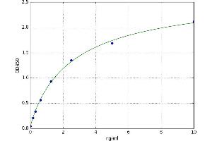 A typical standard curve (GUCY2C ELISA 试剂盒)