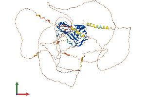 AlphaFold protein structure predicition of Mouse Recombinant Tbx3 Protein, UniprotID P70324