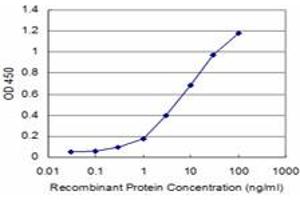 Detection limit for recombinant GST tagged PRKRIP1 is approximately 1ng/ml as a capture antibody. (PRKRIP1 抗体  (AA 1-184))