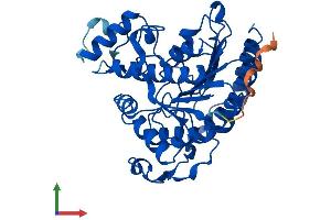 Protein Structure (PS) image for Histone Deacetylase 8 (HDAC8) (AA 1-377) protein (His tag) (ABIN7554082)