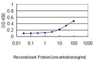 Detection limit for recombinant GST tagged BARX1 is approximately 0. (BARX1 抗体  (AA 1-100))