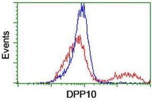 HEK293T cells transfected with either RC205435 overexpress plasmid (Red) or empty vector control plasmid (Blue) were immunostained by anti-DPP10 antibody (ABIN2455092), and then analyzed by flow cytometry. (DPP10 抗体)