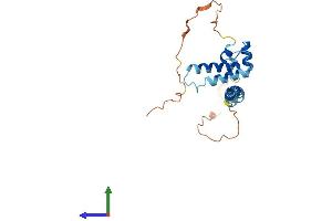 Protein Structure (PS) image for DnaJ (Hsp40) Homolog, Subfamily C, Member 30 (DNAJC30) (AA 1-226) protein (His tag) (ABIN7547103)