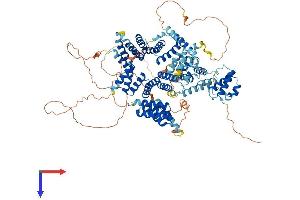 SPAG1 Protein (AA 1-901) (His tag)