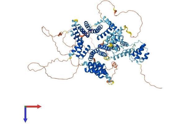 SPAG1 Protein (AA 1-901) (His tag)