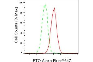 Flow cytometric analysis of FTO expression in HeLa cells using FTO antibody (ABIN7798579), 1:2,000). (FTO 抗体)