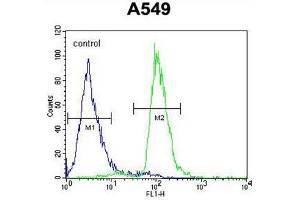 C12orf48 Antibody (C-term) flow cytometric analysis of A549 cells (right histogram) compared to a negative control cell (left histogram). (PARPBP 抗体  (C-Term))
