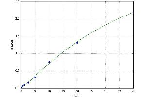 Calpain 3 (CAPN3) ELISA Kit