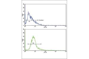 Flow Cytometry (FACS) image for anti-ATP-Binding Cassette, Sub-Family C (CFTR/MRP), Member 1 (ABCC1) antibody (ABIN3002707) (ABCC1 抗体)