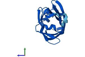 Protein Structure (PS) image for phosphodiesterase 6D, CGMP-Specific, Rod, delta (PDE6D) (AA 1-150) protein (His tag) (ABIN7550671)