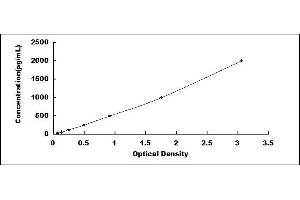 Typical standard curve (ECE1 ELISA 试剂盒)