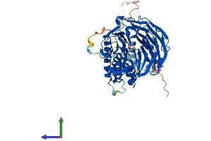 Protein Structure (PS) image for F-Box and WD Repeat Domain Containing 11 (FBXW11) (AA 1-542) protein (His tag) (ABIN7563834)