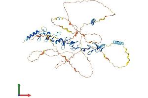 AlphaFold protein structure predicition of Mouse Recombinant Lpp Protein, UniprotID Q8BFW7 (LPP Protein (AA 1-613) (His tag))