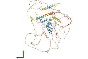 Protein Structure (PS) image for Zinc Finger Protein 148 (ZNF148) (AA 1-794) protein (His tag) (ABIN7556117)