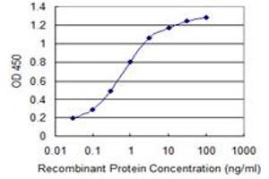 Detection limit for recombinant GST tagged SUPT16H is 0. (SUPT16H 抗体  (AA 608-715))