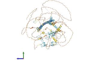 Protein Structure (PS) image for Zinc Finger Protein 387 (ZNF387) (AA 1-1047) protein (His tag) (ABIN7555616)