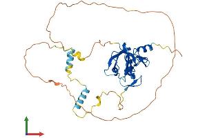 Protein Structure (PS) image for PDZ and LIM Domain 2 (PDLIM2) (AA 1-352) protein (His tag) (ABIN7550653)