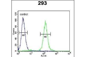 SUV4-20H2 Antibody (Center) (ABIN390405 and ABIN2840796) flow cytometric analysis of 293 cells (right histogram) compared to a negative control cell (left histogram). (SUV420H2/KMT5C 抗体  (AA 187-214))