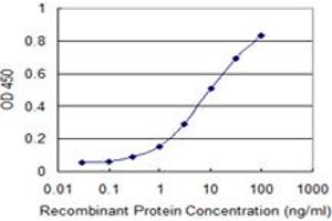 Detection limit for recombinant GST tagged RAD51 is 0. (RAD51 抗体  (AA 1-242))