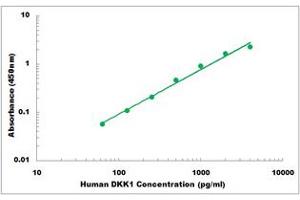 Representative Standard Curve (DKK1 ELISA 试剂盒)