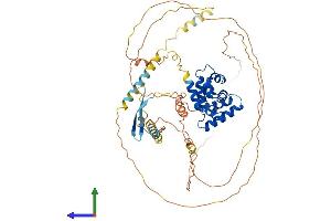 Protein Structure (PS) image for AT Rich Interactive Domain 3B (BRIGHT-Like) (ARID3B) (AA 1-561) protein (His tag) (ABIN7552353)