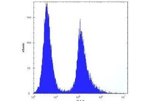 VIM antibody flow cytometric analysis of HeLa cells (right histogram) compared to a negative control cell (left histogram).