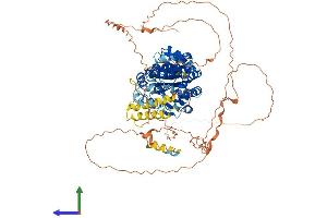 Protein Structure (PS) image for DEAD (Asp-Glu-Ala-Asp) Box Polypeptide 20 (DDX20) (AA 1-825) protein (His tag) (ABIN7565105)