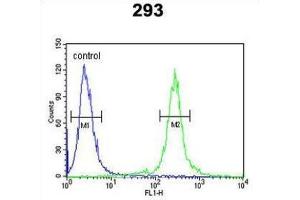 Flow Cytometry (FACS) image for anti-Transcription Elongation Regulator 1-Like (TCERG1L) antibody (ABIN3003948) (TCERG1L 抗体)