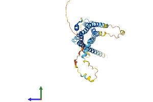 AlphaFold protein structure predicition of Human Recombinant GPR62 Protein, UniprotID Q9BZJ7