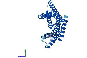 Protein Structure (PS) image for 14-3-3 theta (YWHAQ) (AA 1-245) protein (His tag) (ABIN7551807)