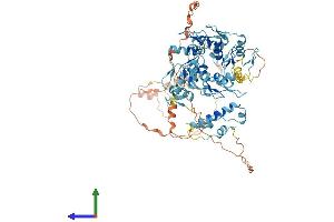 Protein Structure (PS) image for Zinc Finger Protein 7 (ZNF7) (AA 1-686) protein (His tag) (ABIN7545602)